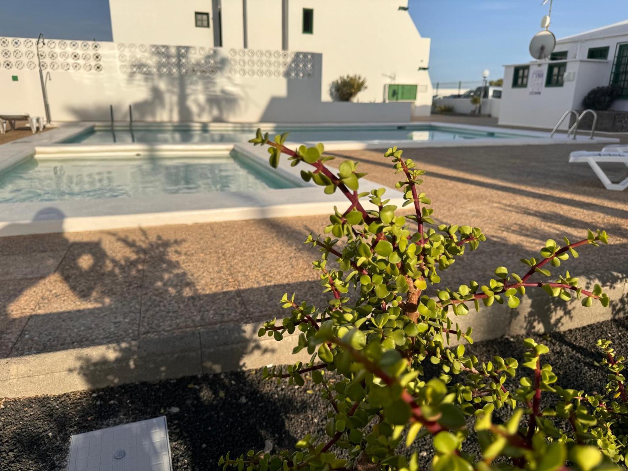 Las Mimosas Puerto del Carmen  Exterior photo
