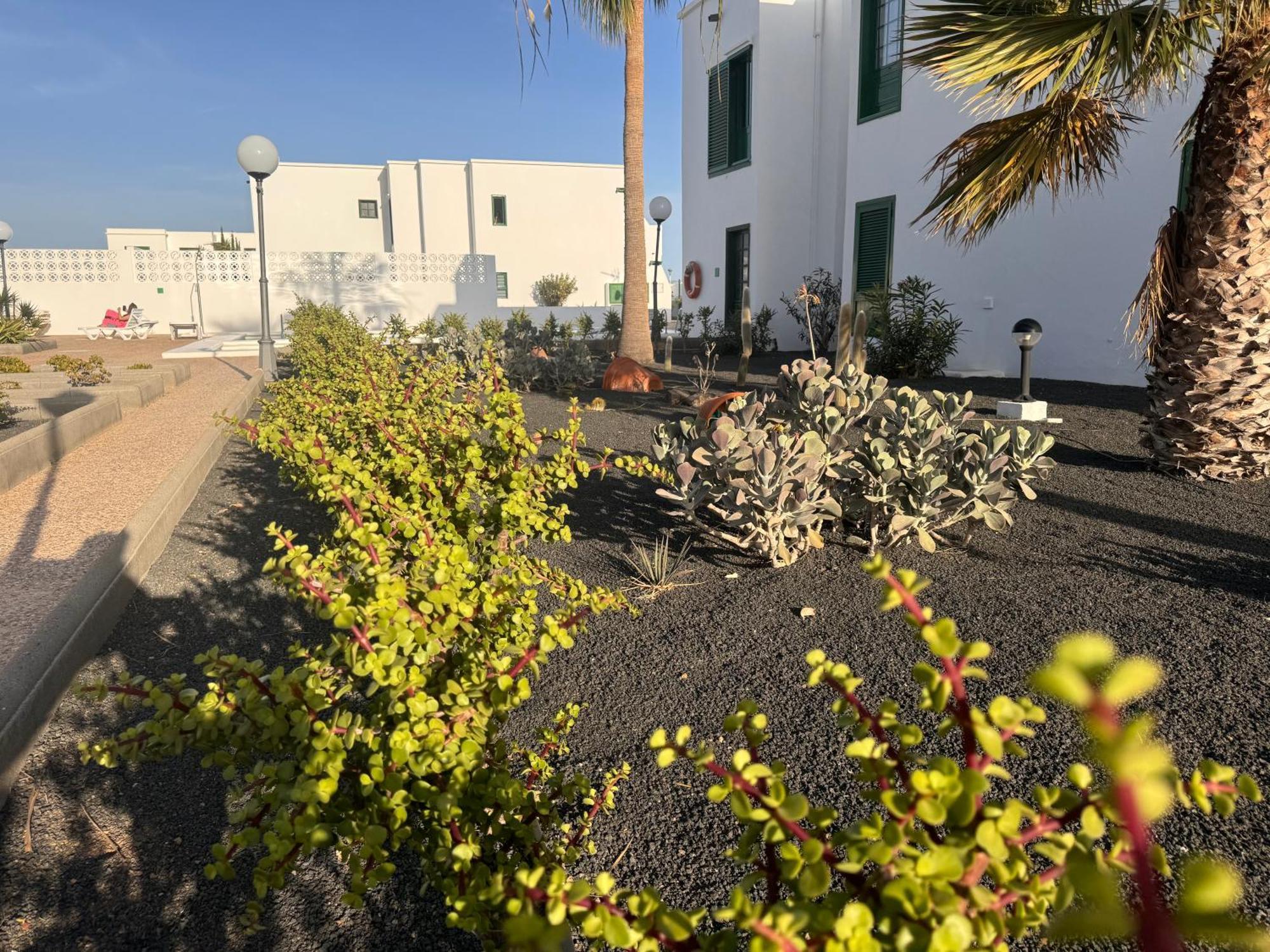 Las Mimosas Puerto del Carmen  Exterior photo